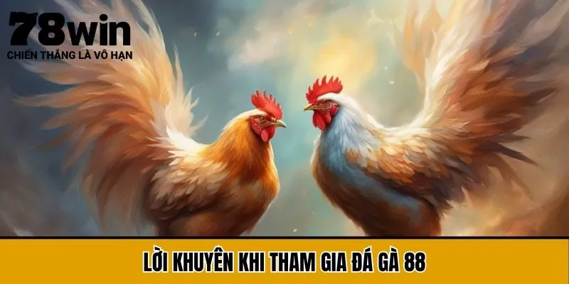 Lời khuyên khi tham gia đá gà 88